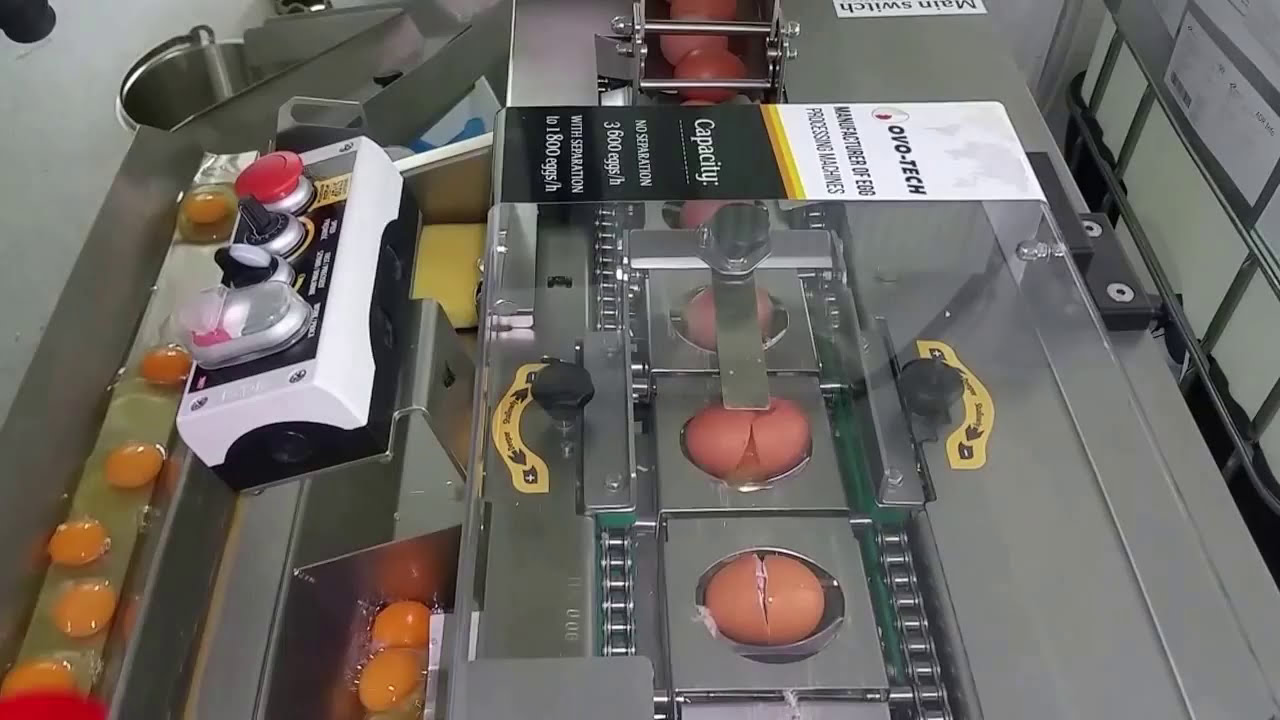 Egg breaker RZ-1 OVO-TECH, for customer from Belgium