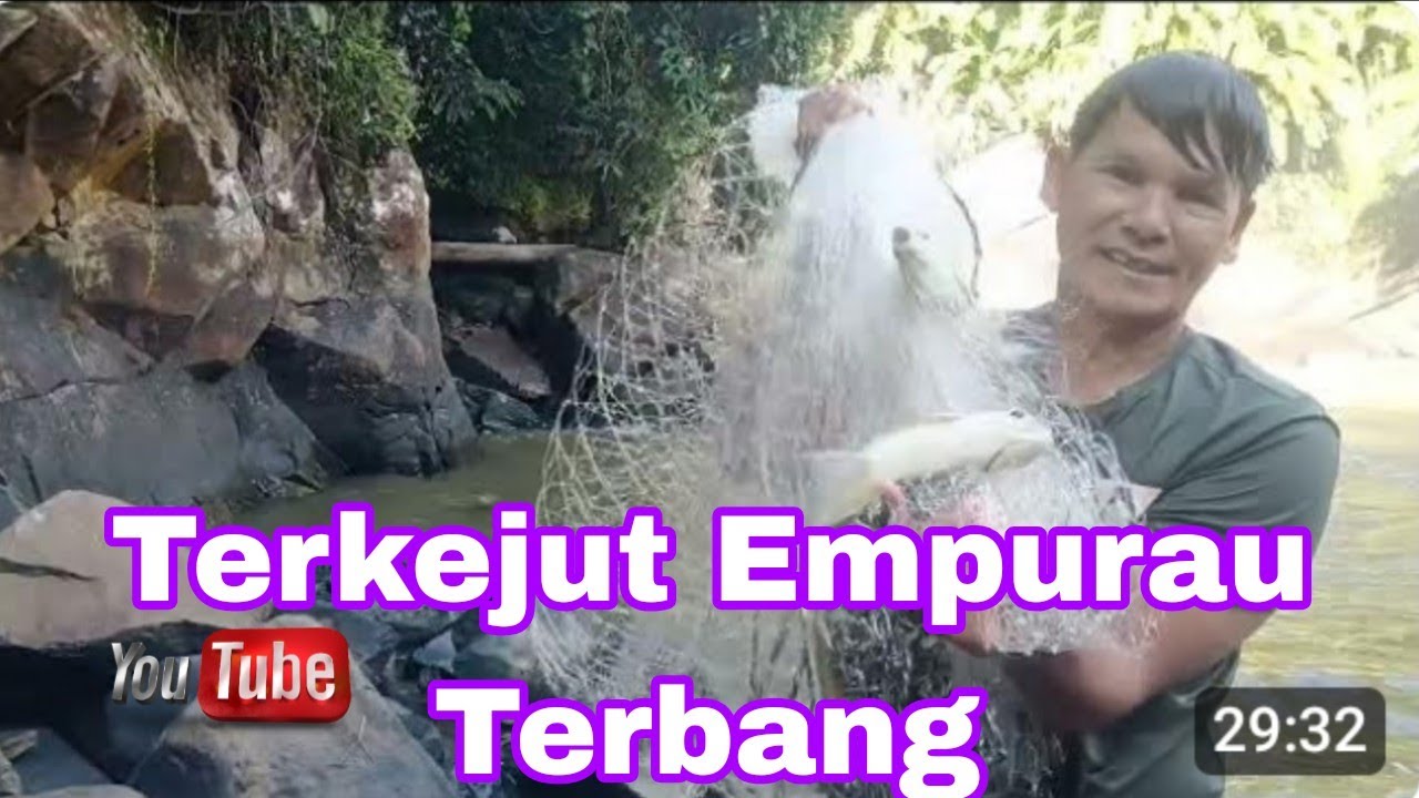 Empurau terbang buat saya terkejut 