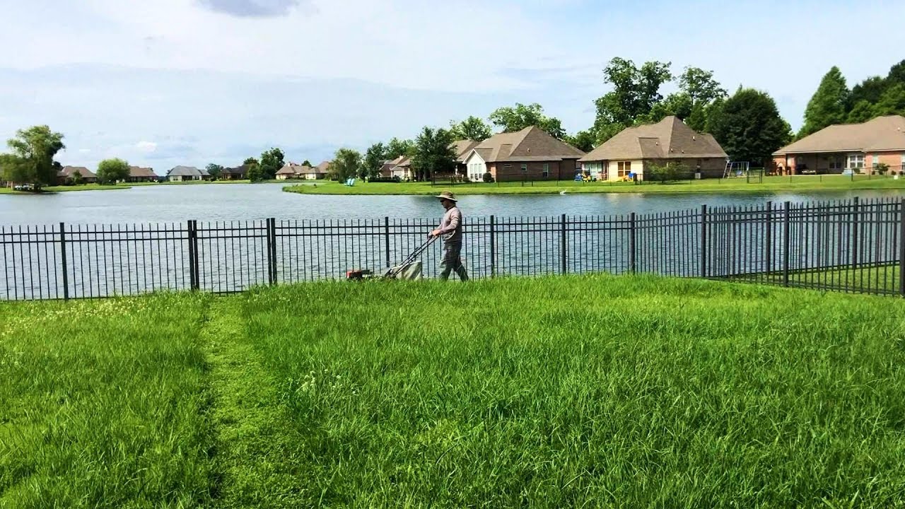 Owner Requested Push Mow and Bag on This Lawn | Re Edit and Upload For Your Viewing Pleasure