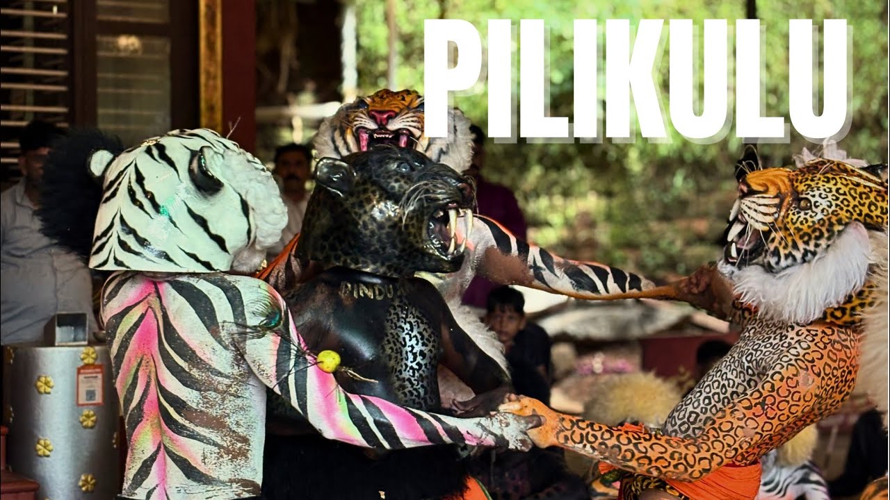 DAY WITH PILIKULU🐯