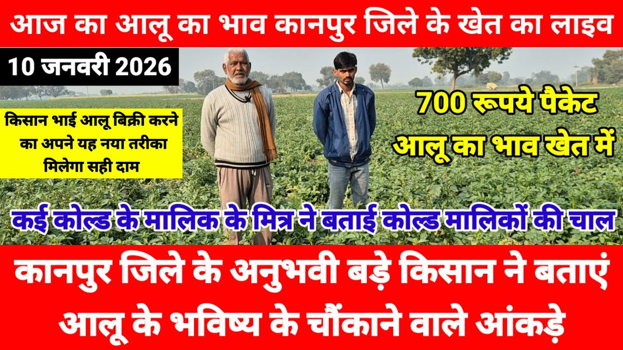 कानपुर जिले के अनुभवी बड़़े किसान ने बताएं आलू के भविष्य के चौंकाने वाले आंकड़े || Aalu Aalu ka bhav