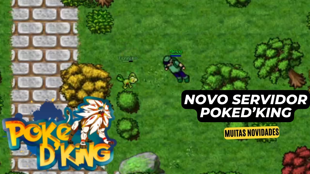NOVO SERVIDOR POKED'KING - TESTANDO O GAME -