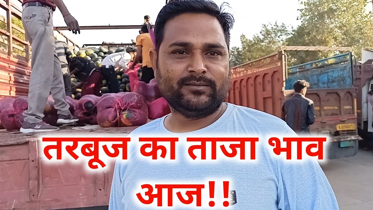 Tarbuj का ताज़ा भाव आज। Watermelon 🍉 Rate Today। तरबूज़ भाव आज मुबारिक, मोटा भाई की फड़ से Alwar 