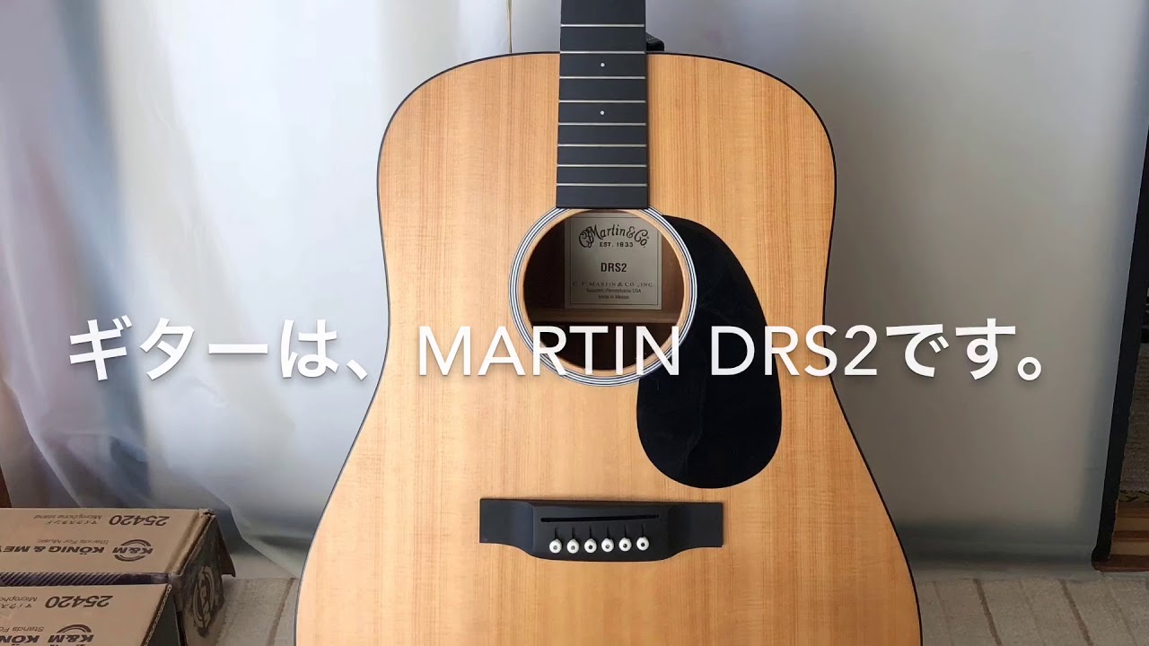 アコギ用ピックアップ L.R.Baggs ANTHEM SLレビュー