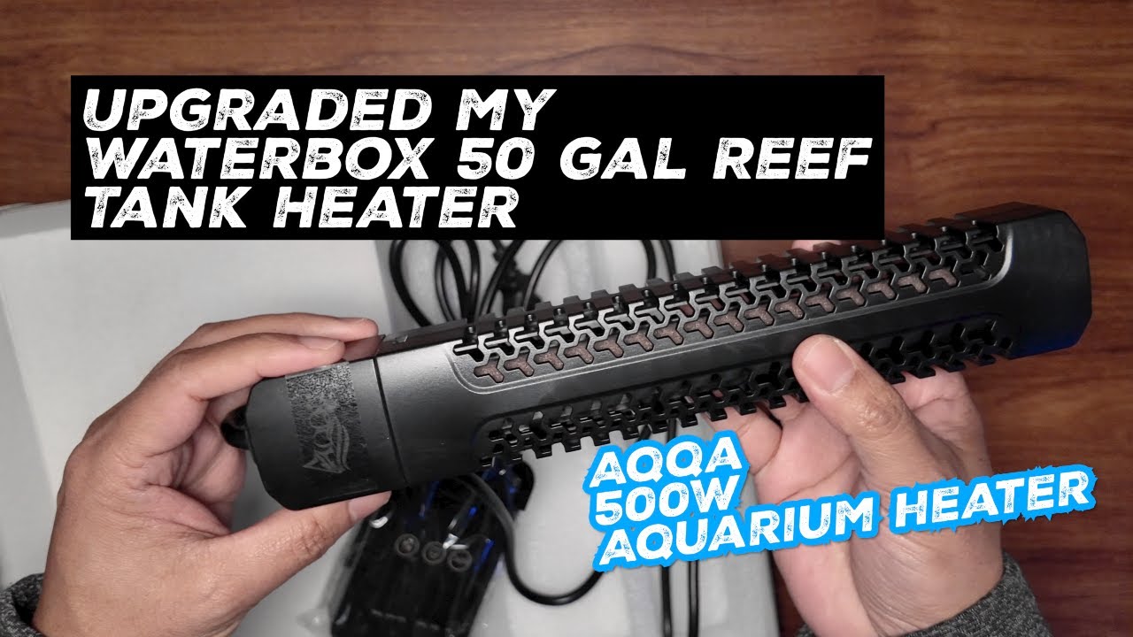 Upgrading My Aquarium Heater (AQQA 500W Review)
