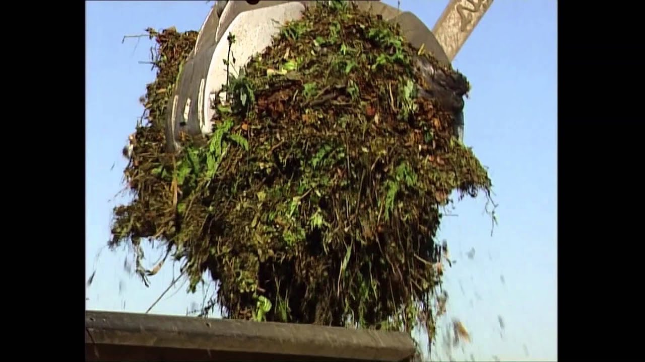 Wealth Hidden in Waste