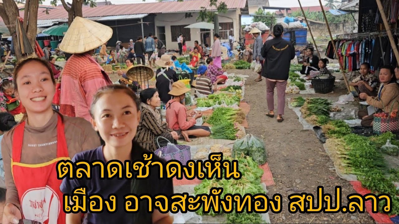 #เที่ยวลาว ตลาดเช้าดงเห็น เมืองอาจสะพังทอง #สะหวันนะเขต #สปปลาว #สาวลาว #อาหาร พื้นบ้าน #เลาะตลาดตลี