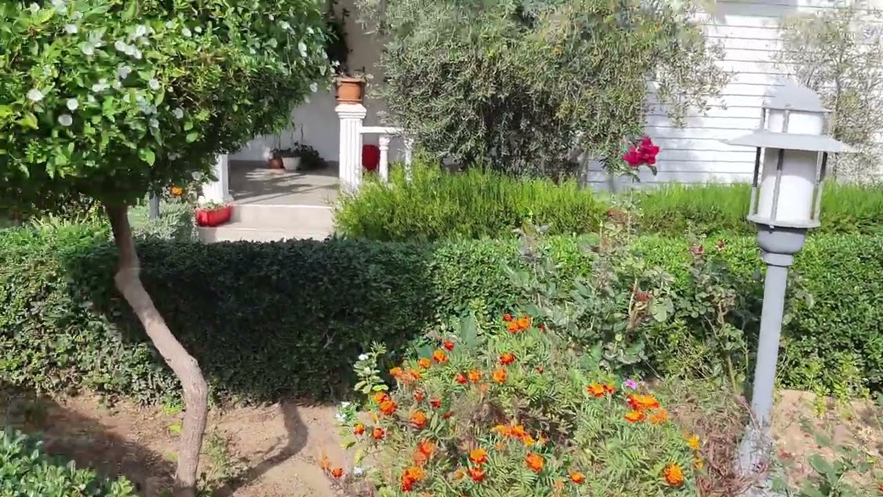 Lalezar Sitesi Anamur Bozyazı - Walking Tour