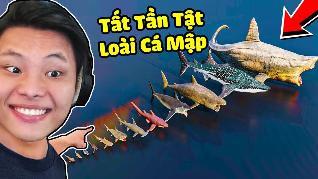 TẤT TẦN TẬT LOÀI CÁ MẬP TRÊN THẾ GIỚI🌎🩸🦈JAYGRAY SO SÁNH CHIỀU DÀI CỦA CÁ MẬP KHỔNG LỒ MEGALODON
