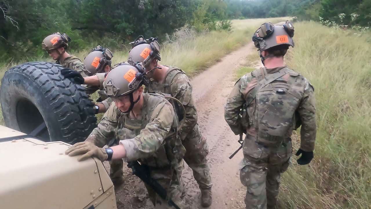 Hawk 115- TACP Schoolhouse