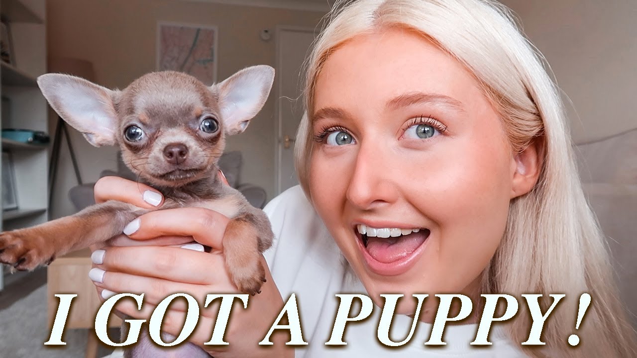 PICKING UP MY PUPPY VLOG