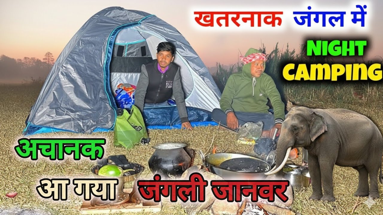 खतरनाक जंगल में आ गए जंगली जानवर हालत खराब #vijayriyavlogs #bihariblogersandhyakiduniya #dallyblog 