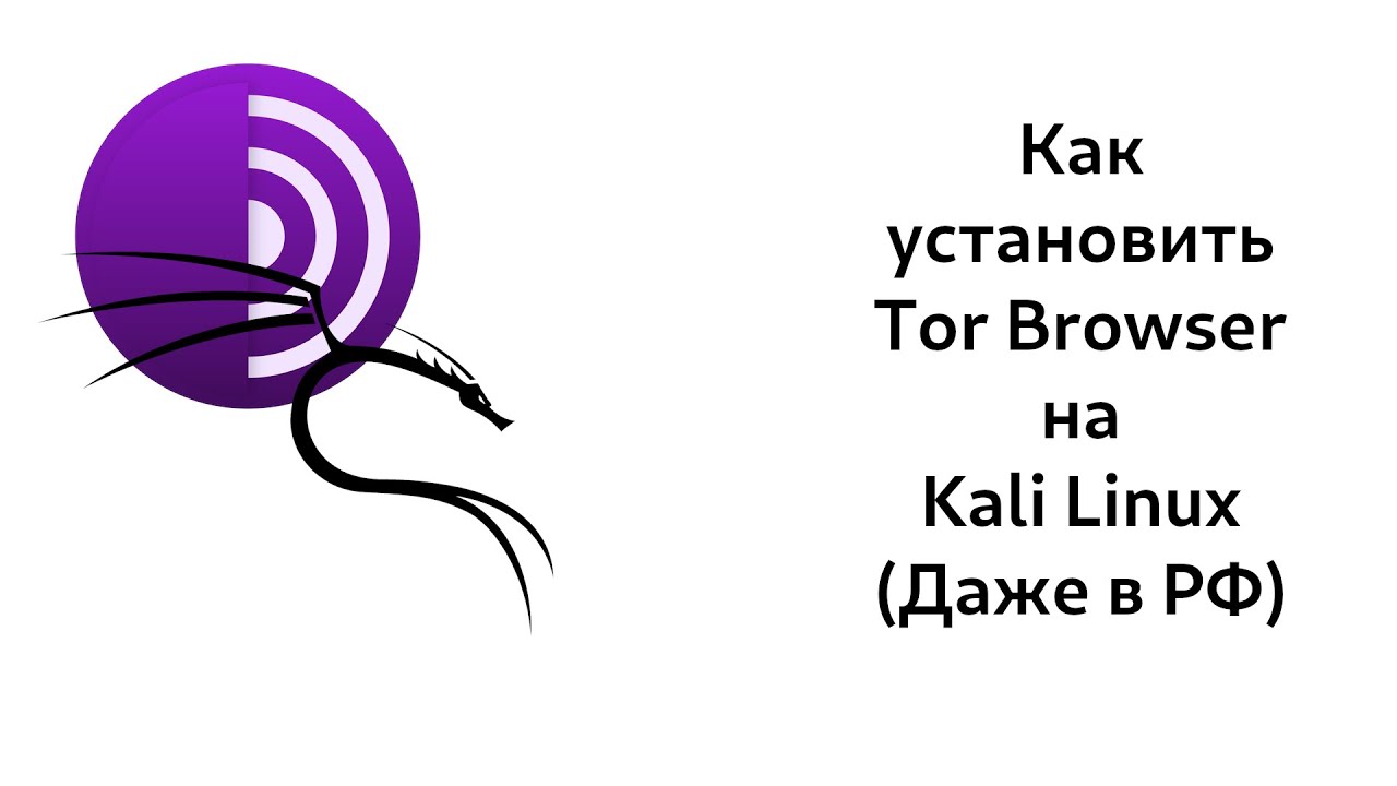 Как установить Tor Browser на Kali Linux? 2026
