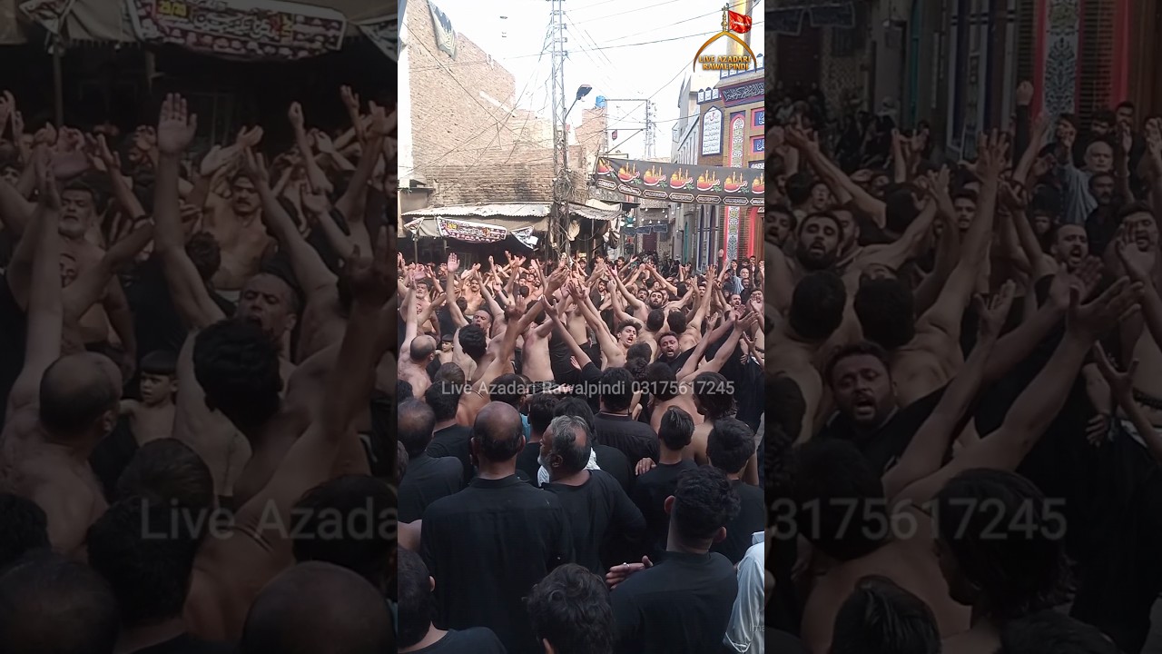 Chakwal Party Geo Shah Matam | 26 Muharram Sutri Wat Multan | Matmi Syed Ul Sajideen|New Nohay 2024