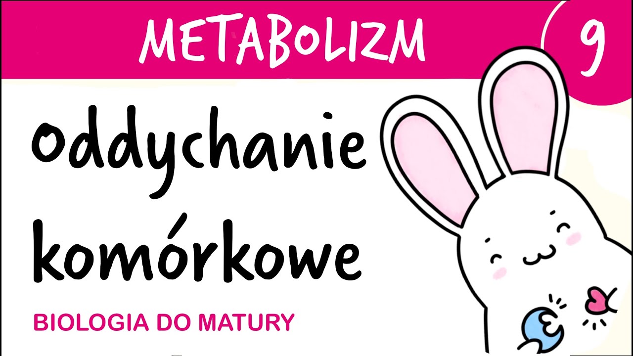 Metabolizm 9 - Oddychanie 🫁 komórkowe (tlenowe) jako gra komputerowa 🎮 - biologia do matury