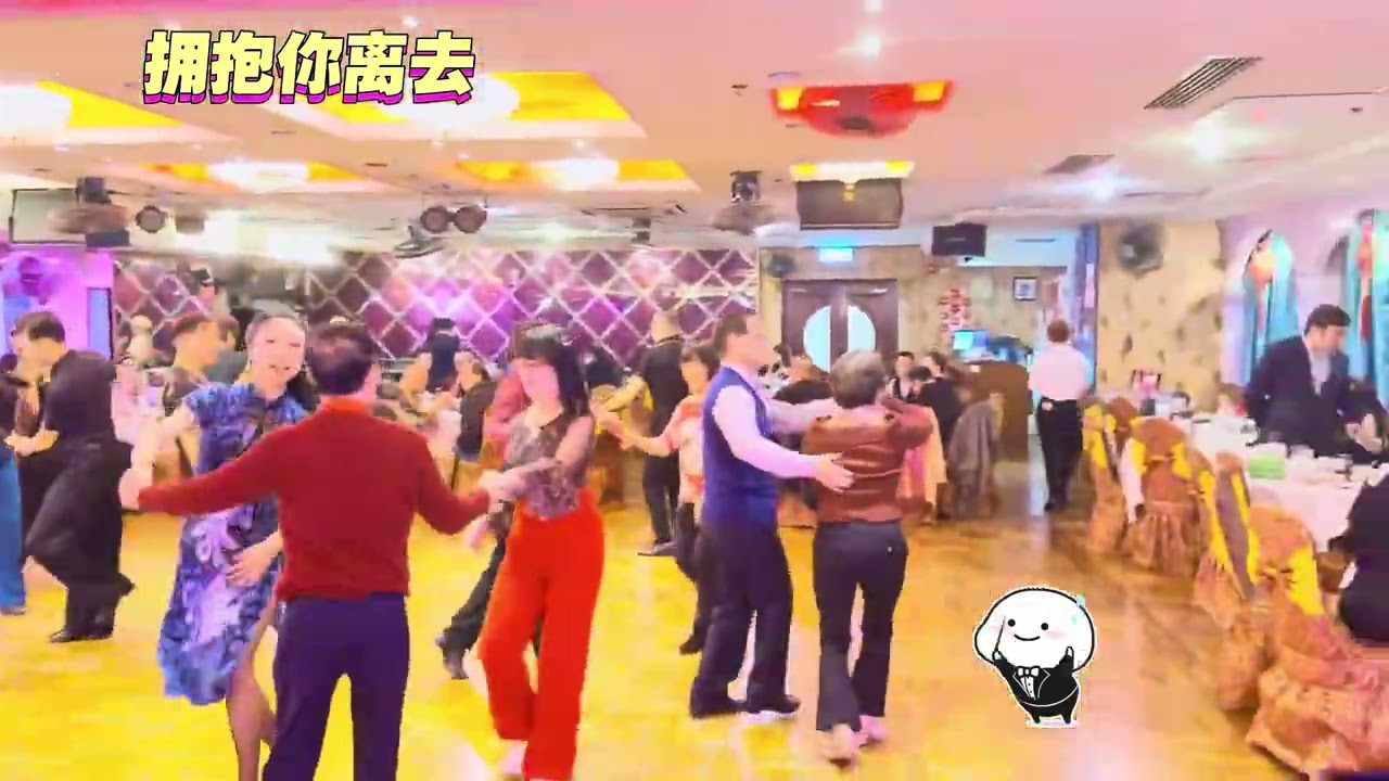 拥抱你的离去🥰😜