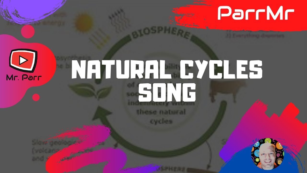 Natural Cycles Song