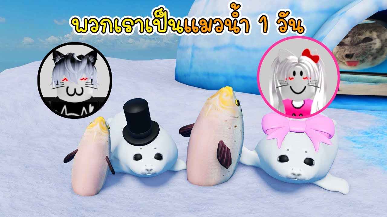 ปุ๊กปิ๊กกับลอร่าเป็นแมวน้ำ 1 วัน - Pukpik Be a Silly Seal