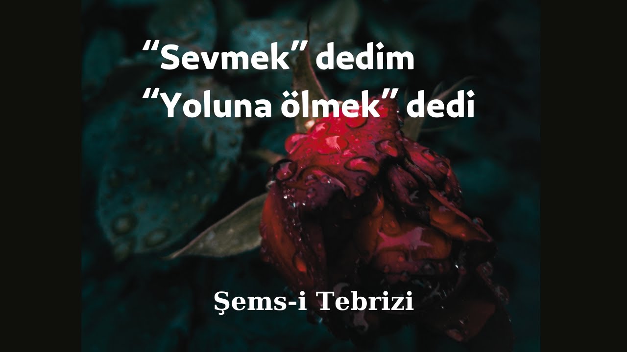 Şems-i Tebrizi | Sevmek Dedim Yoluna Ölmek Dedi | Dedim Dedi | Şiir