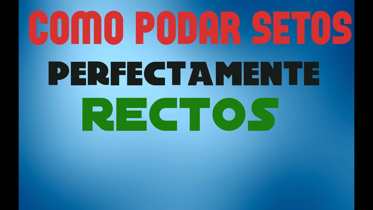 C&oacute;mo podar setos rectos