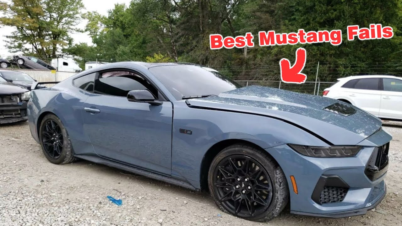Best Mustang Fails 2024