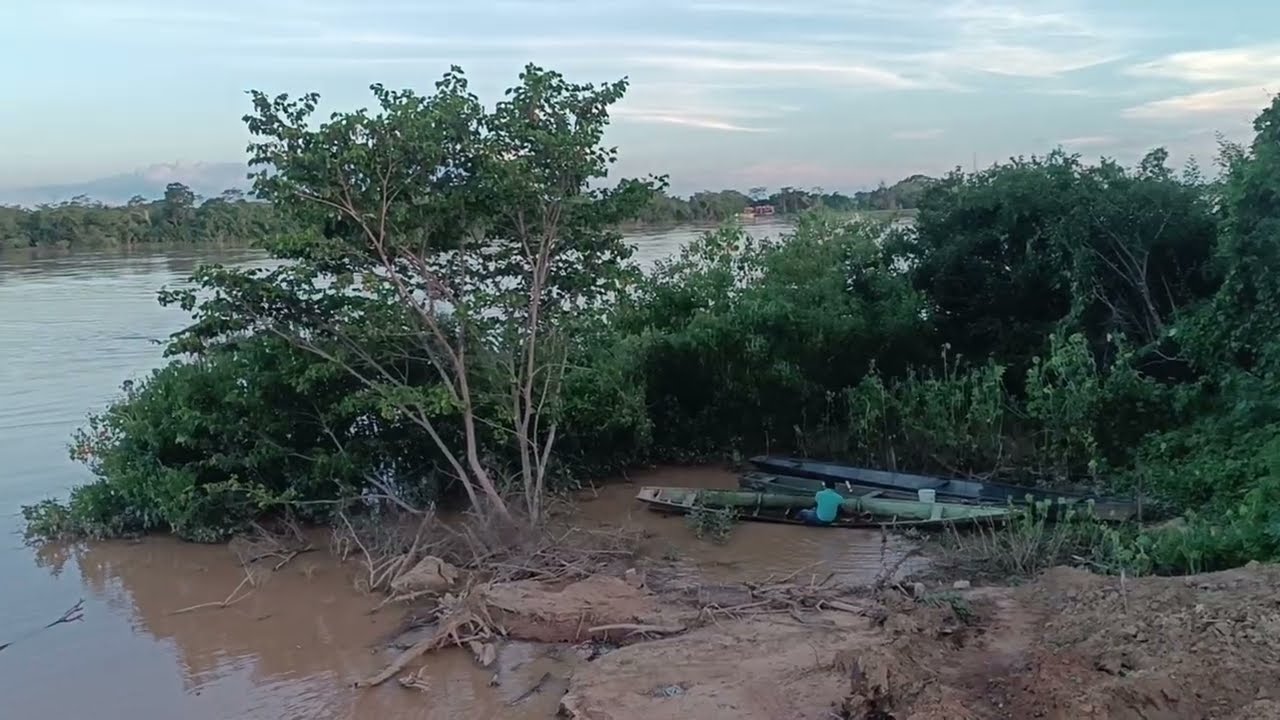 Tá enchendo aqui em manga MG 