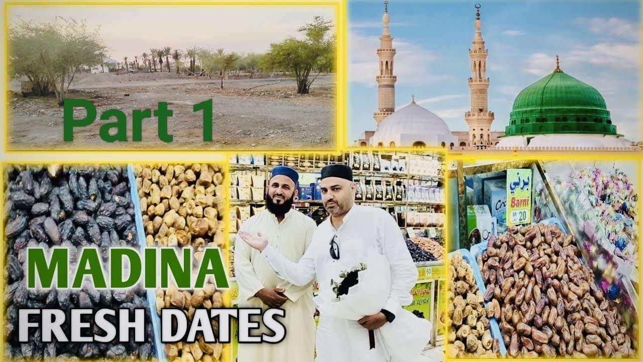 BEST DATES IN MADINA | TYPES OF DATES IN SAUDI ARABIA | AJWA KHAJOOR PRICE IN MADINA | Part # 1| ✅