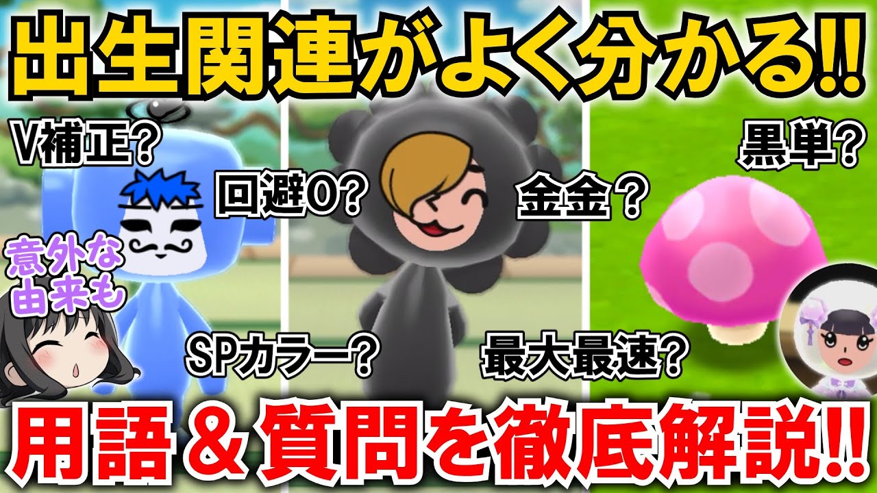 【New 電波人間のRPG FREE！】「個体・出生」関連はこれでOK⁉SPカラー、最大最速、しゅっせいダケなど徹底解説‼【電波人間スマホ版】【初心者必見・質問回答】