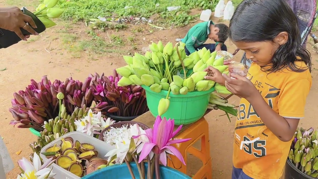 21 වෙනි උපන්දිනේ මම අනුරාධපුරේදි ගත කරපු විදිය ✨ |Birthday Vlog 
