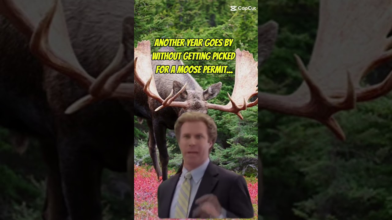moose lottery is doing me dirty... #archery #moose #moosehunt #huntmaine #mooselottery #memes