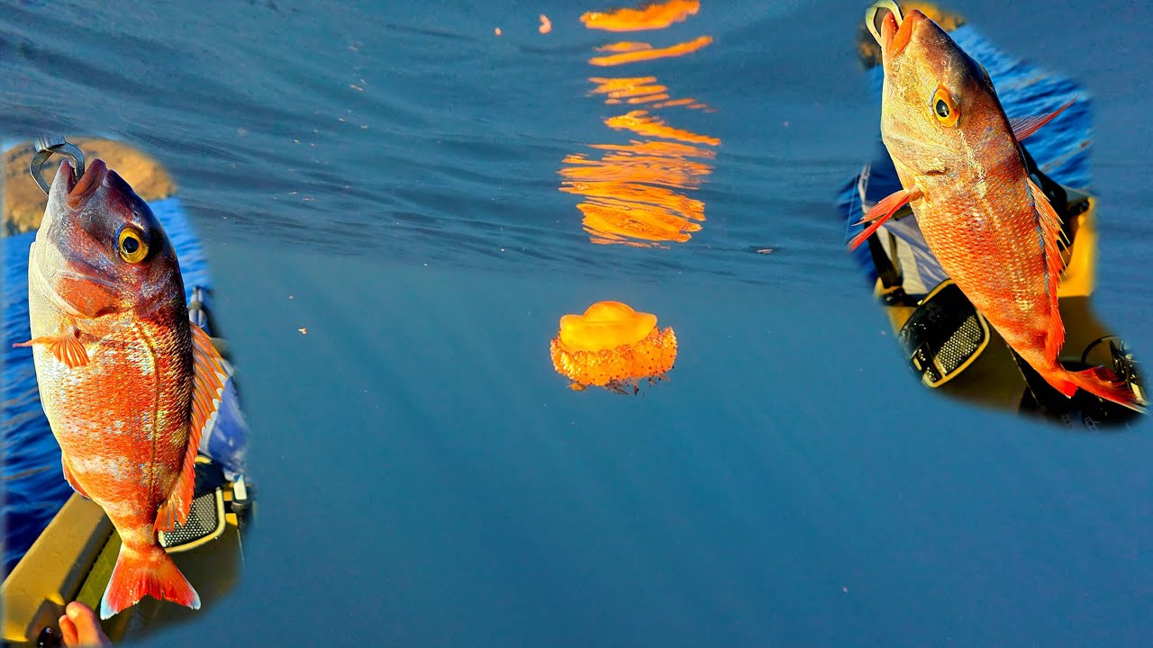 Slow Jigging με κόκκινα και μια πανέμορφη σαλούφα | Kayak Fishing Adventure #kayakfishing #fishing