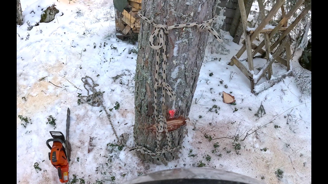 Voi herranen aika, siinä on kunnon speciaali viritykset, 😂. Pro Finnish Lumberjack And Husqvarna 572
