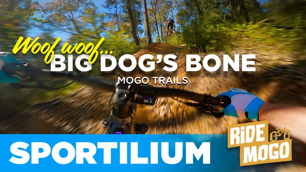 Big Dog's Bone: Flow and Jumps on Mogo's Best Blue Progression Trail!