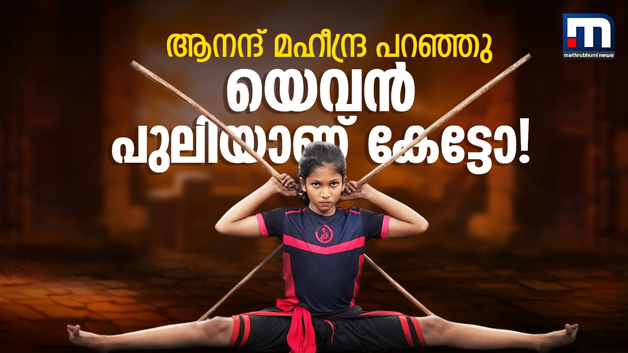 കളരിച്ചുവട് കൊണ്ട് ആനന്ദ് മഹീന്ദ്രയെ ഞെട്ടിച്ച 10 വയസുകാരന്‍ | Mathrubhumi News