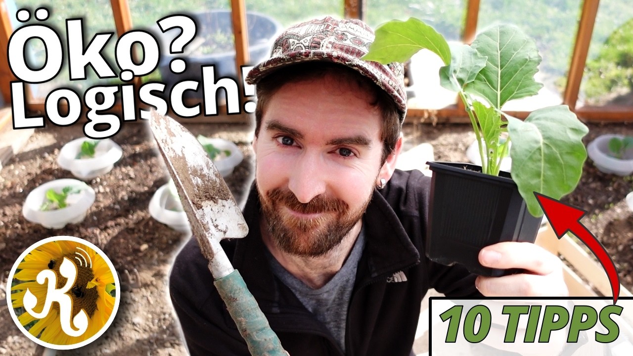 Ab ins Gemüse! 🌱 10 Tipps für ökologisches Gärtnern.