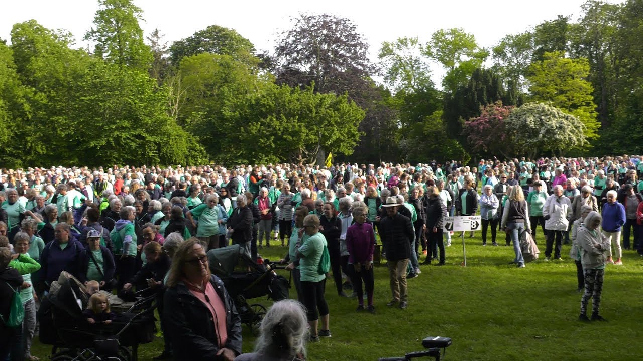 Ladywalk 2019