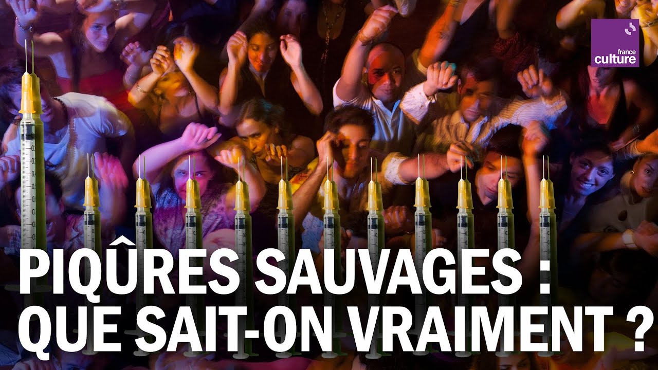 Fête de la musique : que sait-on des PIQÛRES SAUVAGES ?