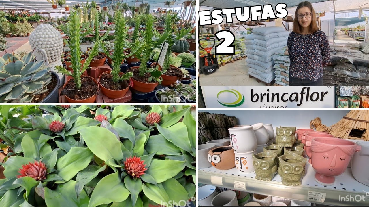  #garden BRINCA FLOR 🪴:TOUR EXCLUSIVO COM A PROPRIETÁRIA. 