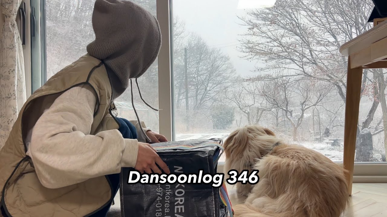Dansoonlog 346 Влог: маленький дом в деревне готовится к весне даже в сильный снегопад