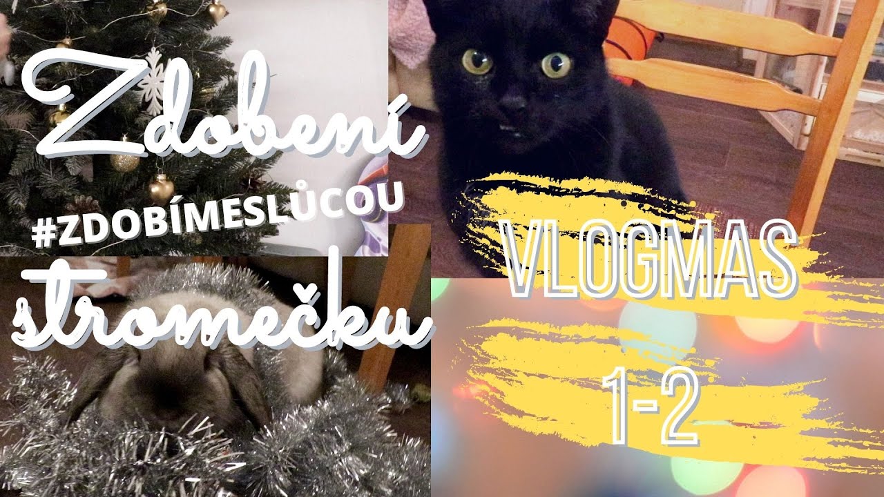 VLOGMAS DEN 1.-2. | Zdobení stromečku | Čtu vaše komentáře | Mazlíčci opět v akci