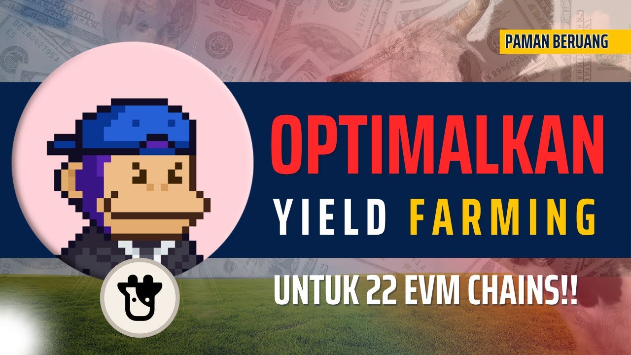 Rahasia Maksimalkan Yield dengan Beefy Finance: Panduan Sederhana