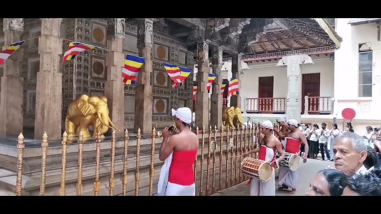 ශ්‍රී දළදා මාලිගාවේ උදෑසන තේවාව - හේවිසි ශබ්ද පූජා - Sri Dalada Maligawa #daladamaligawa #kandy