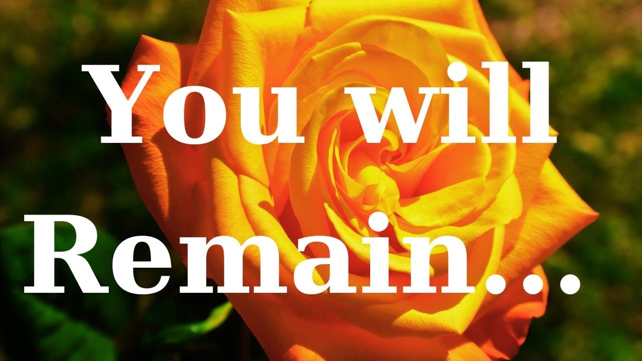 You will always remain/romantic love