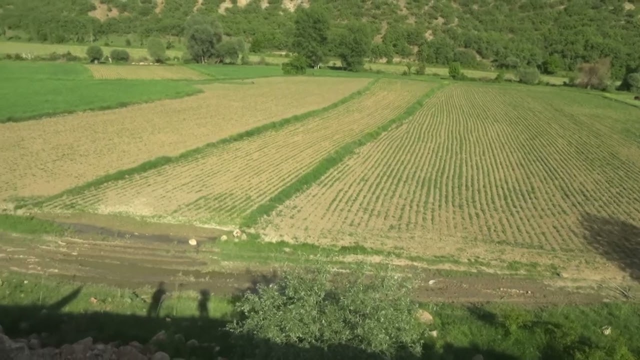 Yedişehirli Köyü - Akdağmadeni - Yozgat 💖