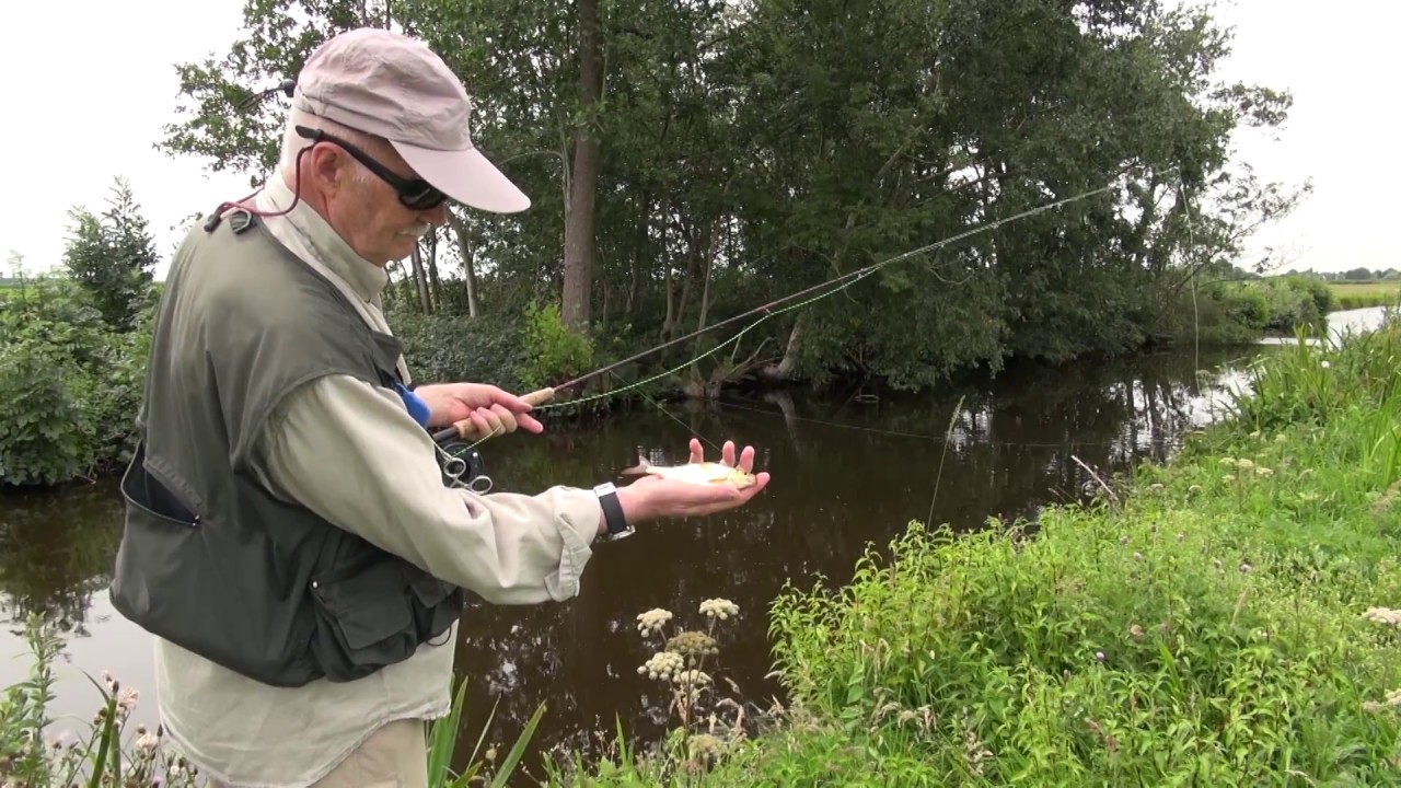 Vliegvissen op voorn - Flyfishing for roaches