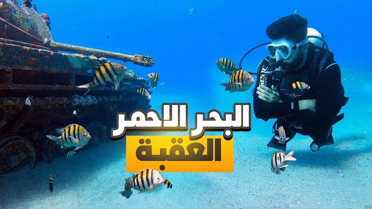 jordan - Diving in the Red Sea ‏تجربتى الأولى في الغوص _ البحر الاحمر