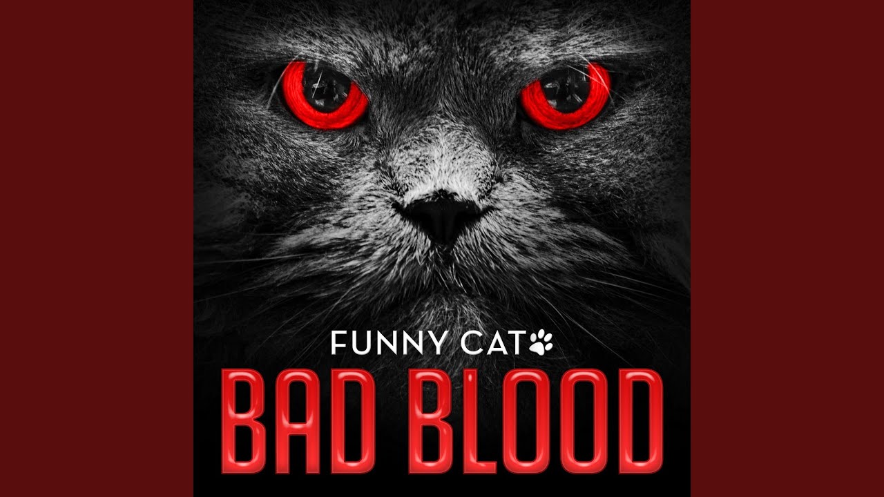 Bad Blood (Funny Cats Singing Version)