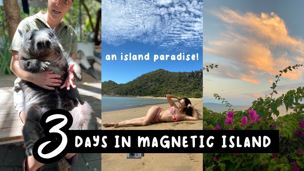 MAGNETIC ISLAND | Bungalow Bay Tour, Rock Wallabies, Forts Walk | BACKPACKING AUSTRALIA Pt.3