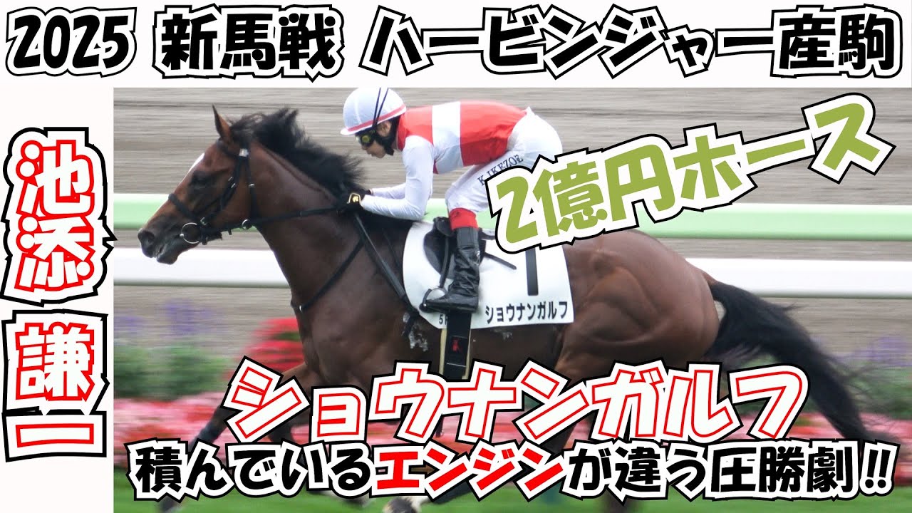 【新馬戦】2億円馬の①ショウナンガルフ積んでいるエンジンの違いをみせる勝利‼ 現地映像