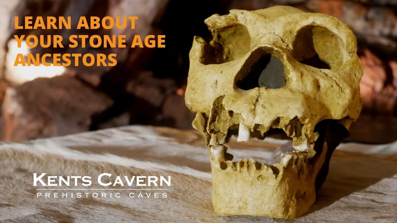 Learn about your Stone Age ancestors, Digging Deeper with Kents Cavern